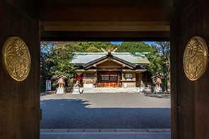 東郷神社も門越しに見る